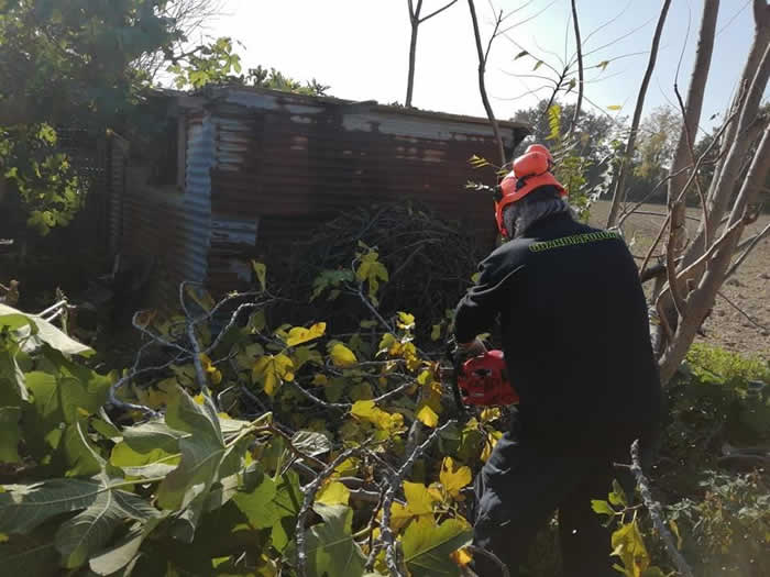 Corso di formazione motoseghe