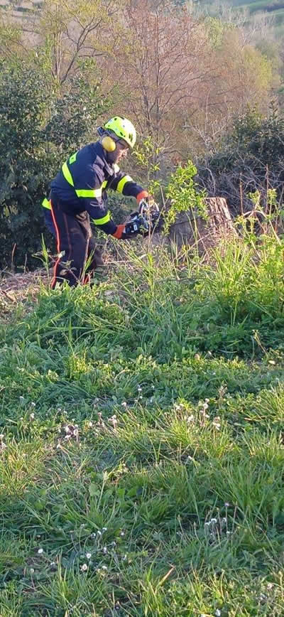 Taglio con motosega