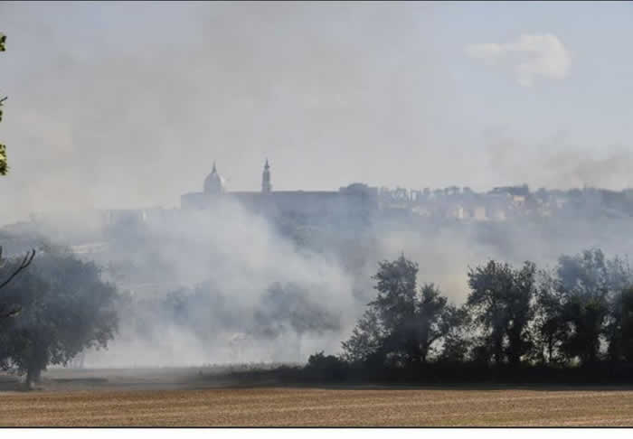 Incendio sterpaglie Numana